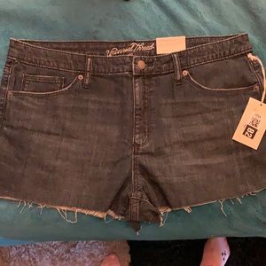 Universal thread size 16 shorts. NWT!